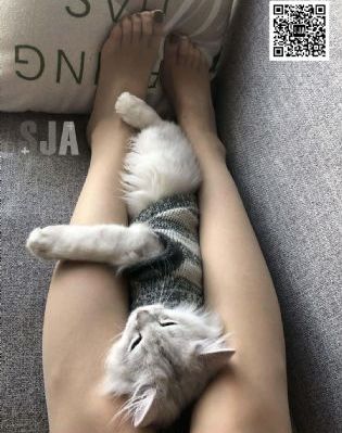 久久国产精品亚洲下载_高清完整版高清视频观看